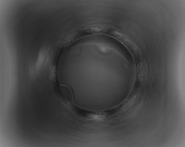 X0000100760563200806261607