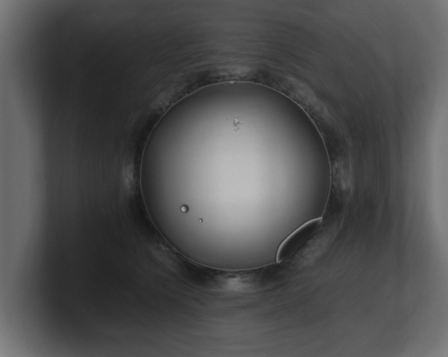 X0000100760564200806261607