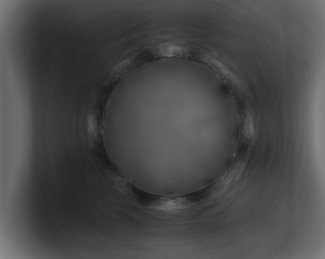 X0000100760569200806261607