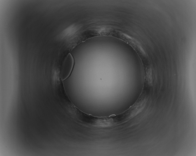 X0000100760571200806261607