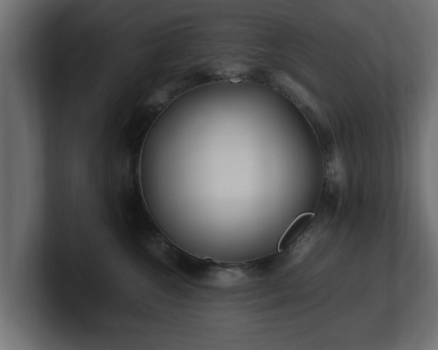 X0000100760572200806261607