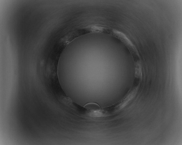 X0000100760573200806261607