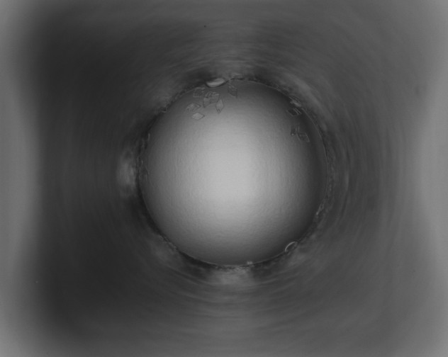 X0000100760576200806261607