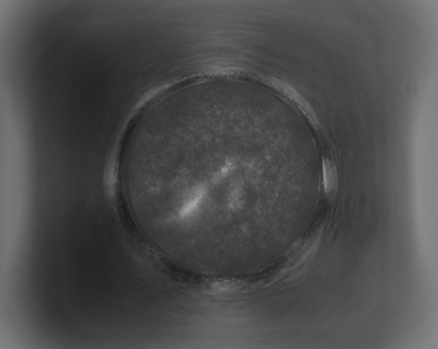 X0000100760579200806261607