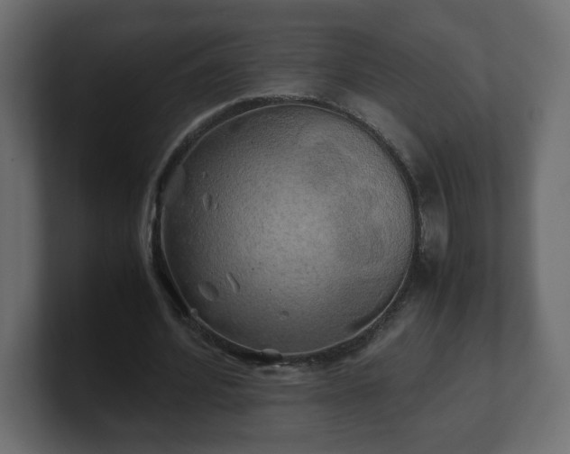 X0000100760580200806261607