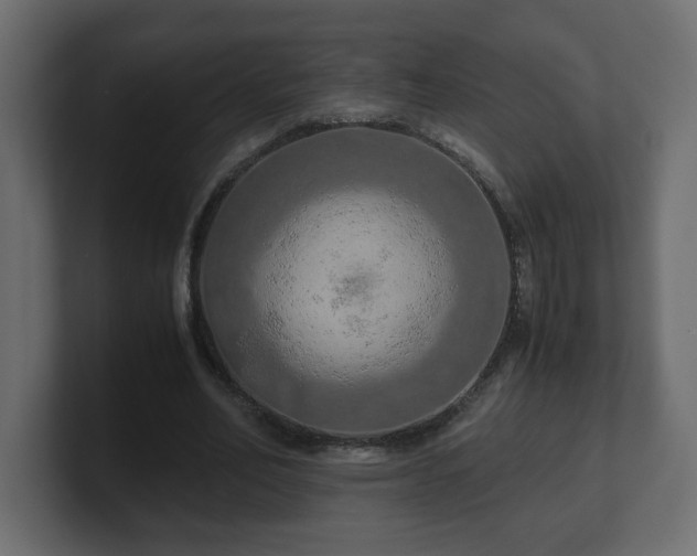 X0000100760582200806261606