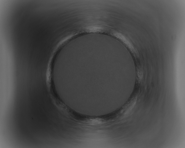 X0000100760583200806261606