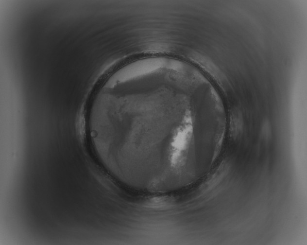 X0000100760584200806261606