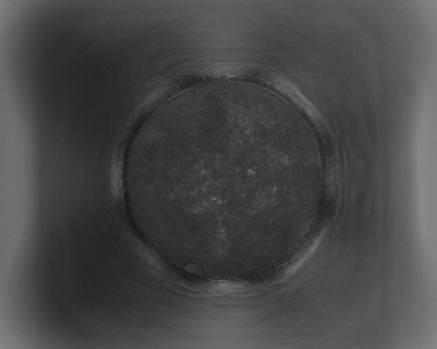 X0000100760585200806261606