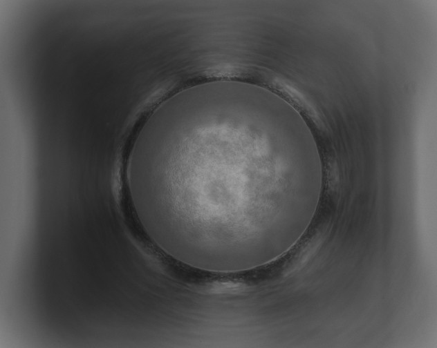 X0000100760586200806261606