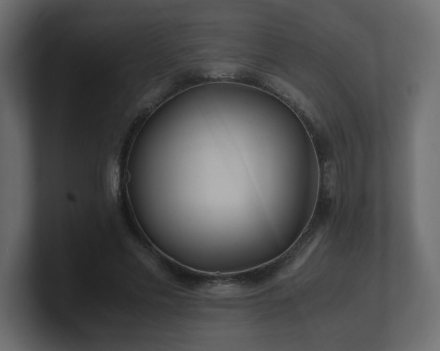 X0000100760589200806261606