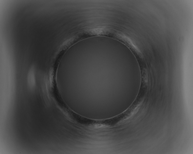 X0000100760590200806261606