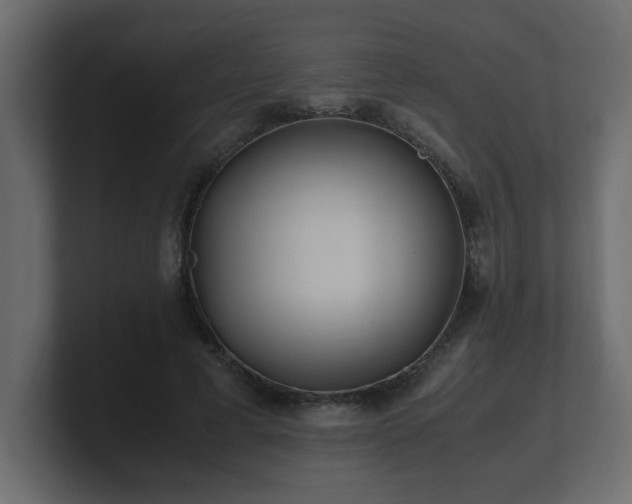 X0000100760593200806261606