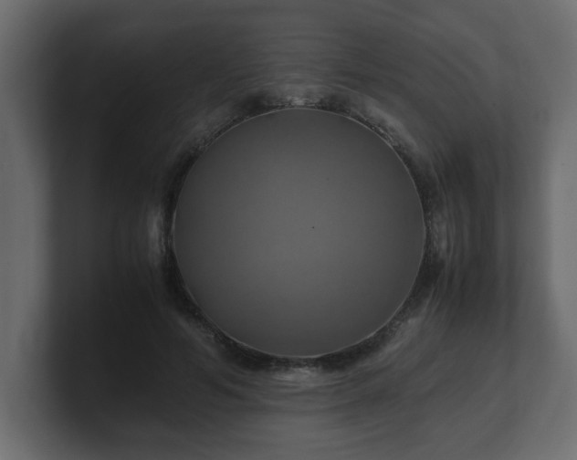 X0000100760594200806261606