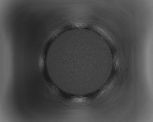 X0000100760595200806261606