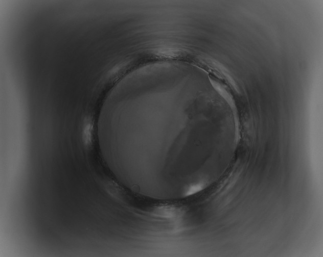 X0000100760596200806261606