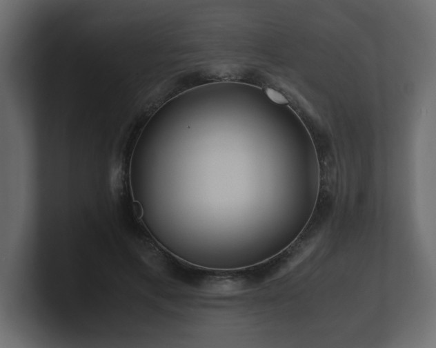 X0000100760597200806261606