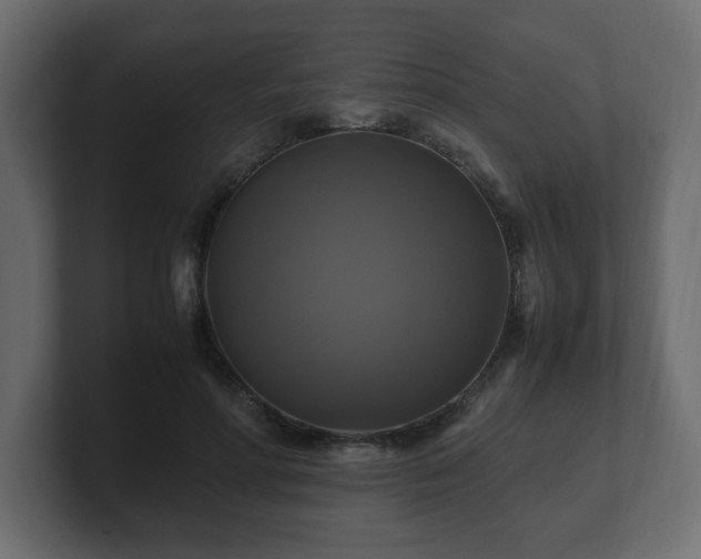 X0000100760598200806261606