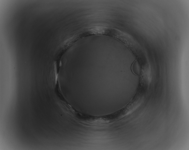 X0000100760600200806261606