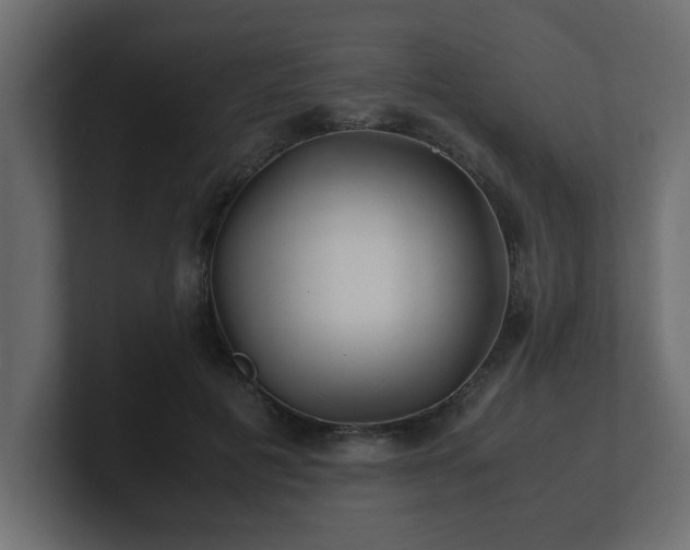 X0000100760601200806261606