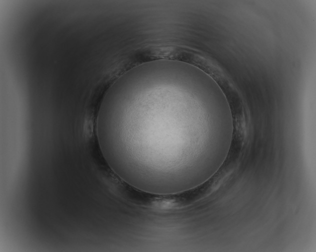 X0000100760602200806261606