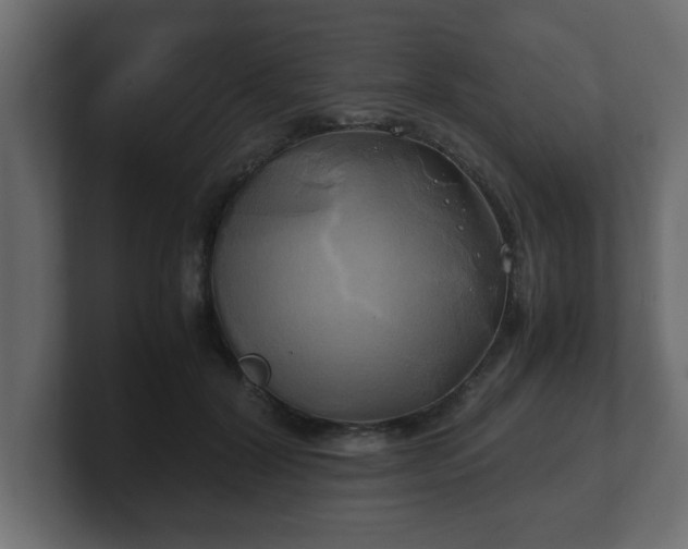 X0000100760604200806261606