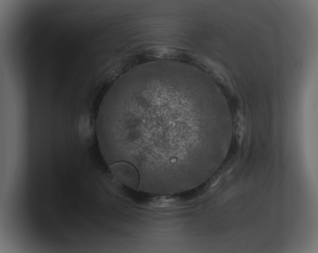 X0000100760607200806261606