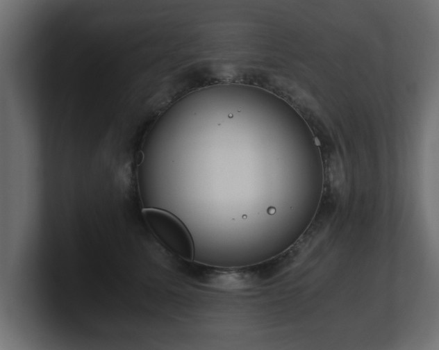 X0000100760611200806261606