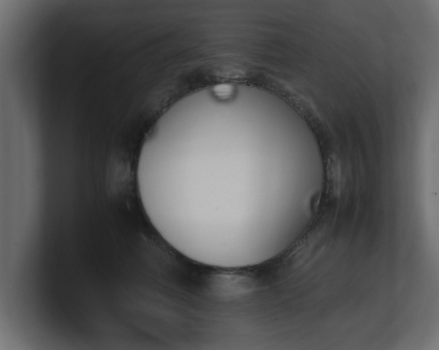 X0000100760614200806261606