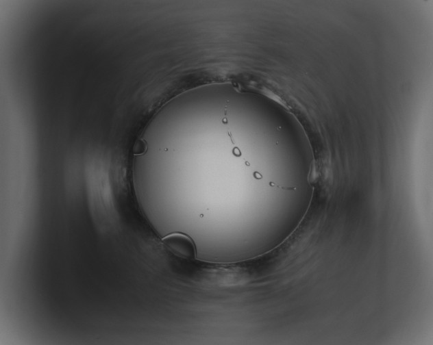 X0000100760615200806261606