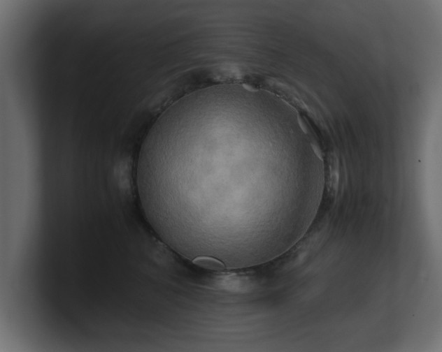 X0000100760616200806261606