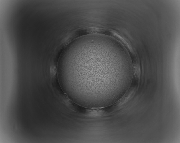 X0000100760621200806261606