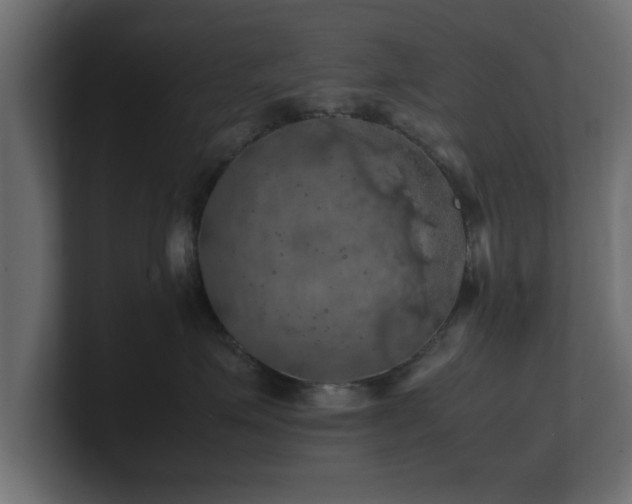 X0000100760623200806261606