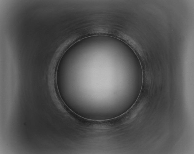 X0000100760625200806261605