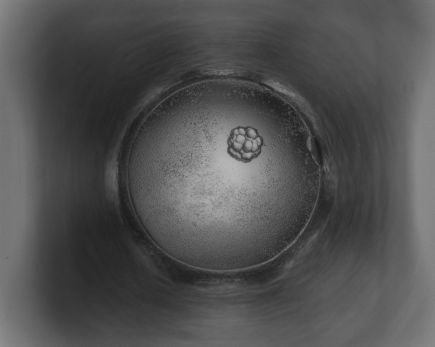 X0000100760626200806261605