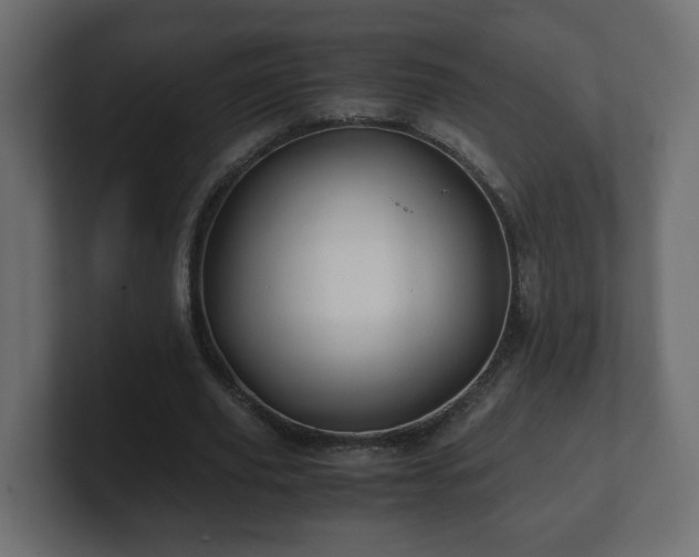 X0000100760629200806261605