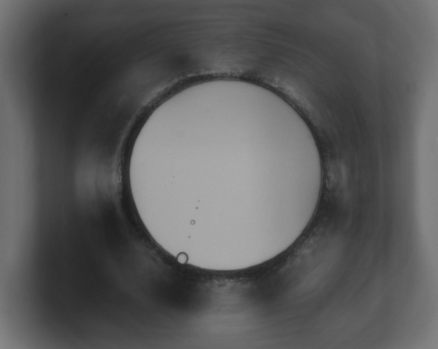 X0000100760632200806261605