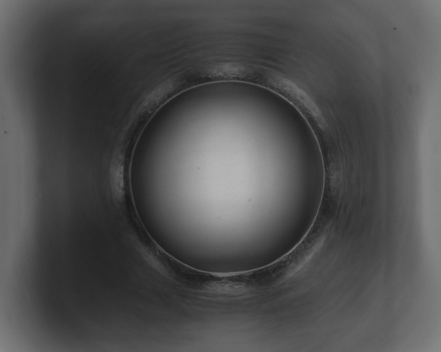 X0000100760633200806261605