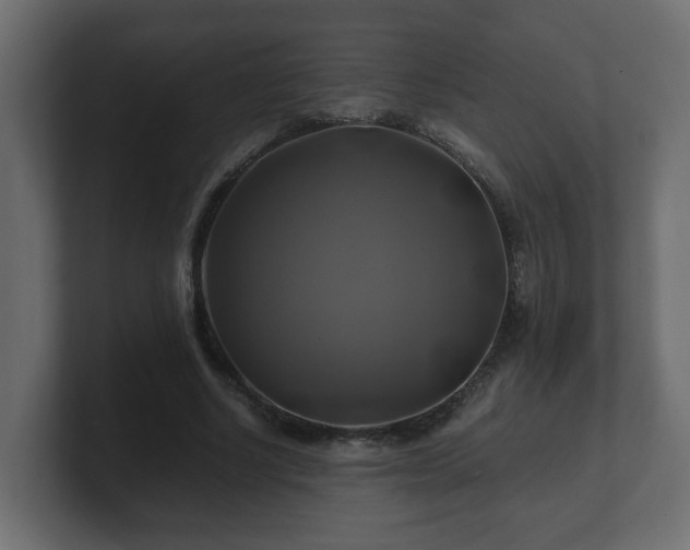 X0000100760634200806261605