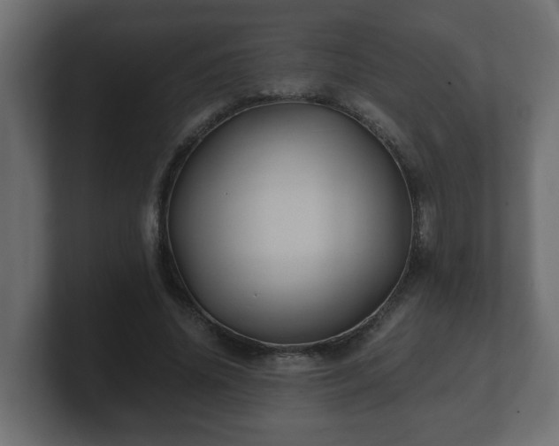 X0000100760636200806261605