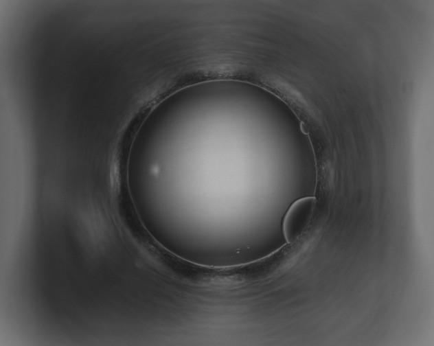 X0000100760638200806261605