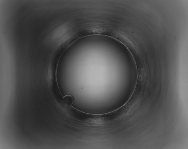 X0000100760639200806261605