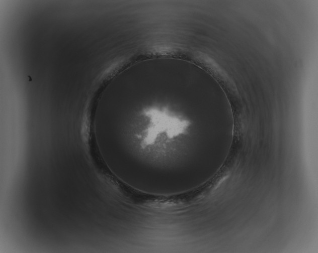 X0000100760640200806261605