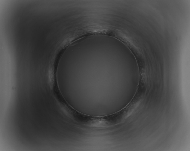 X0000100760642200806261605