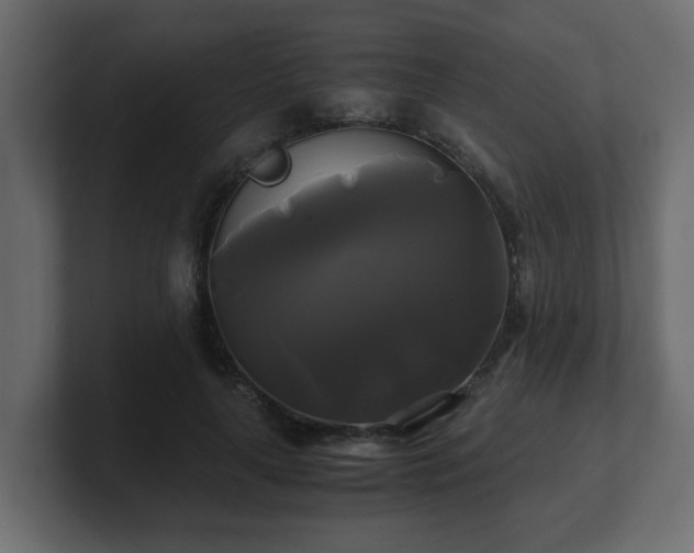 X0000100760643200806261605