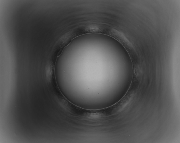 X0000100760645200806261606