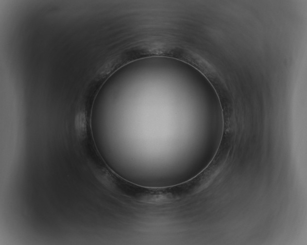 X0000100760646200806261606