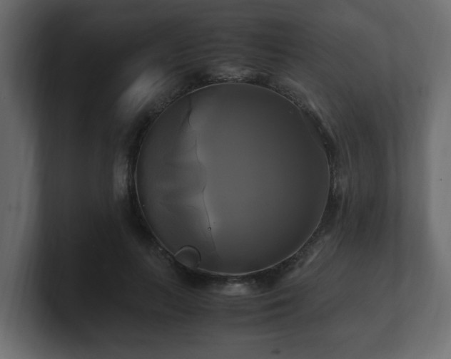 X0000100760647200806261606