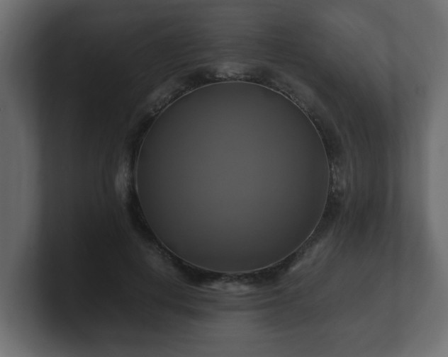 X0000100760648200806261606