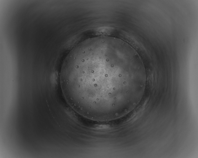 X0000100760649200806261606